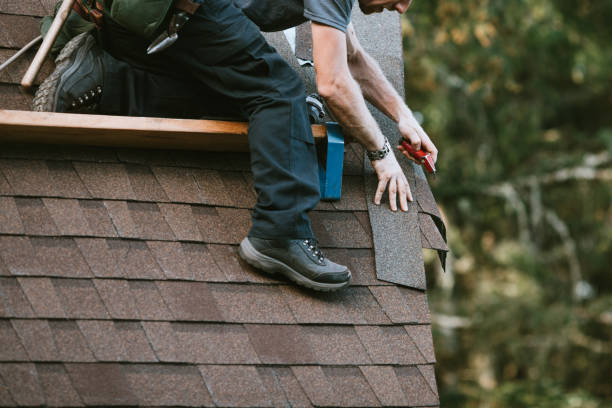 Best Roof Gutter Cleaning  in Berino, NM